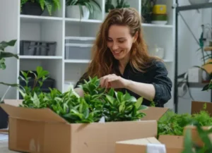 Checklist for Moving with Indoor Plants 3 Checklist for Moving with Indoor Plants